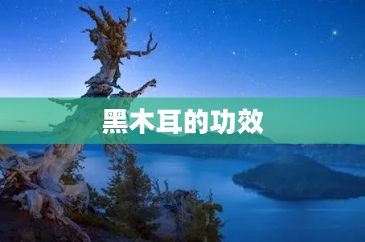 黑木耳的功效：补血养颜、降脂减肥、防癌抗癌