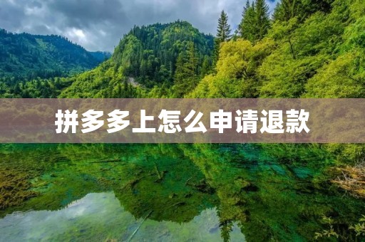 拼多多上怎么申请退款