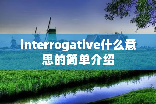 interrogative什么意思的简单介绍
