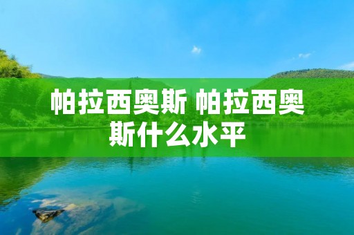 帕拉西奥斯 帕拉西奥斯什么水平 帕拉西奥斯 帕拉西奥斯什么水平