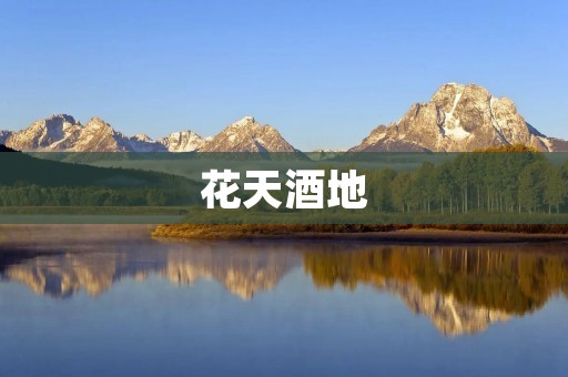 花天酒地：探寻浪漫与狂欢之间的微妙平衡