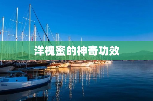 洋槐蜜的神奇功效:从健康到美容全方面保护 洋槐蜜的神奇功效:从健康到美容全方面保护