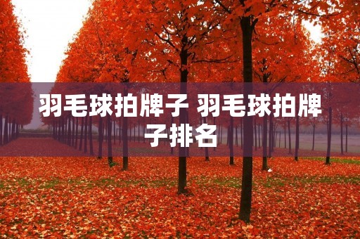 羽毛球拍牌子 羽毛球拍牌子排名