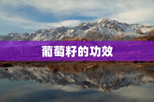 葡萄籽的功效:保护心脑血管,抗氧化,美容养颜 葡萄籽的功效:保护心脑血管,抗氧化,美容养颜