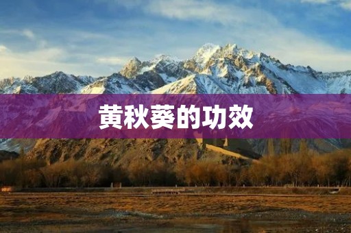 黄秋葵的功效:探秘这个营养丰富的蔬菜 黄秋葵的功效:探秘这个营养丰富的蔬菜