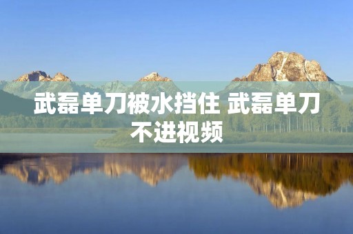 武磊单刀被水挡住 武磊单刀不进视频
