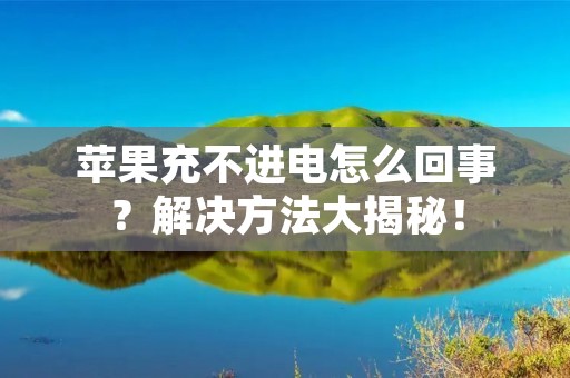 苹果充不进电怎么回事?解决方法大揭秘!