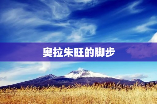奥拉朱旺的脚步：一个传奇球员的成长之路
