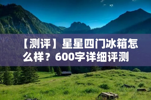 【测评】星星四门冰箱怎么样？600字详细评测