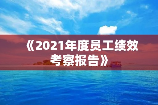 《2021年度员工绩效考察报告》