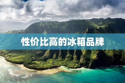 性价比高的冰箱品牌:让你的冰箱选择更明智