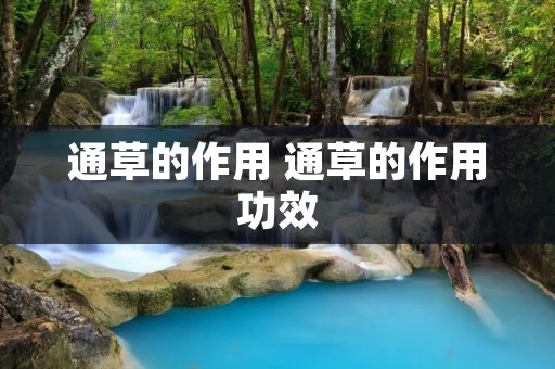 通草的作用 通草的作用功效