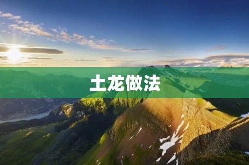土龙做法：传统美食的独特魅力