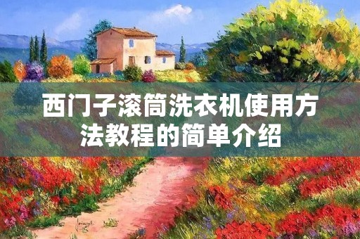 西门子滚筒洗衣机使用方法教程的简单介绍 西门子滚筒洗衣机使用方法教程的简单介绍