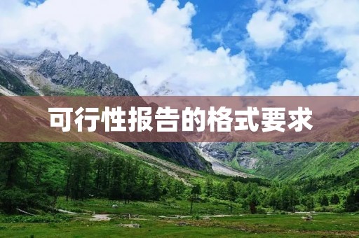 可行性报告的格式要求