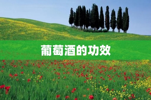 葡萄酒的功效:饮用葡萄酒有益健康 葡萄酒的功效:饮用葡萄酒有益健康