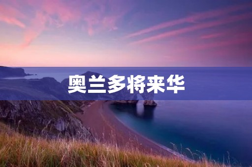 奥兰多将来华：探访中国市场的机遇与挑战