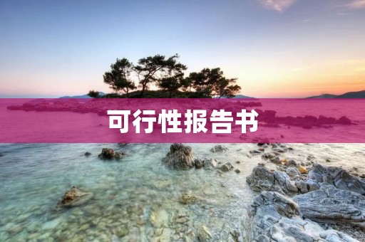 可行性报告书:某项目可行性研究报告