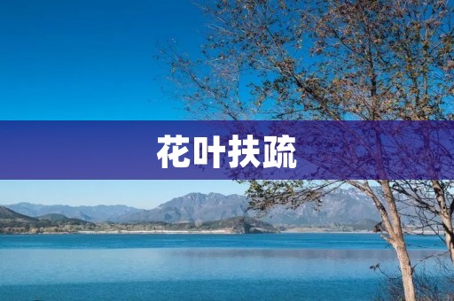 花叶扶疏:让植物更健康 花叶扶疏:让植物更健康