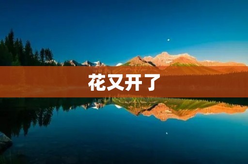 花又开了：春天的美丽再次绽放