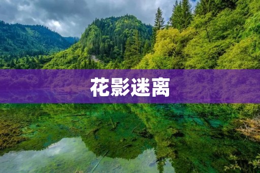 花影迷离：邂逅花海的美妙之旅