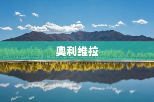 奥利维拉：一个独特的南美洲城市