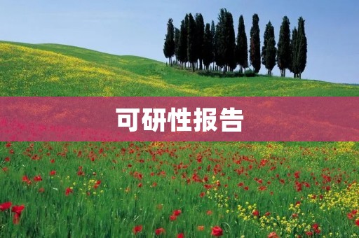 可研性报告:XX项目可行性研究报告