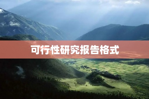 可行性研究报告格式