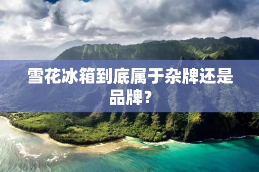 雪花冰箱到底属于杂牌还是品牌? 雪花冰箱到底属于杂牌还是品牌?