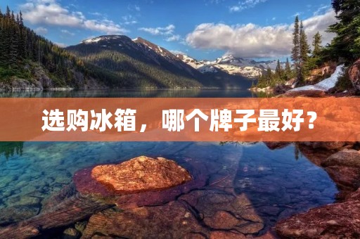 选购冰箱,哪个牌子最好? 选购冰箱,哪个牌子最好?