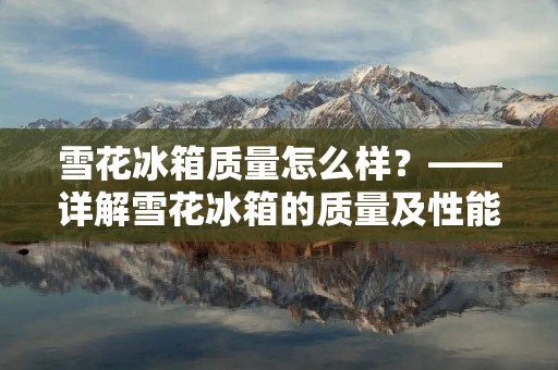 雪花冰箱质量怎么样?——详解雪花冰箱的质量及性能表现 雪花冰箱质量怎么样?——详解雪花冰箱的质量及性能表现