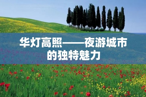 华灯高照——夜游城市的独特魅力 华灯高照——夜游城市的独特魅力