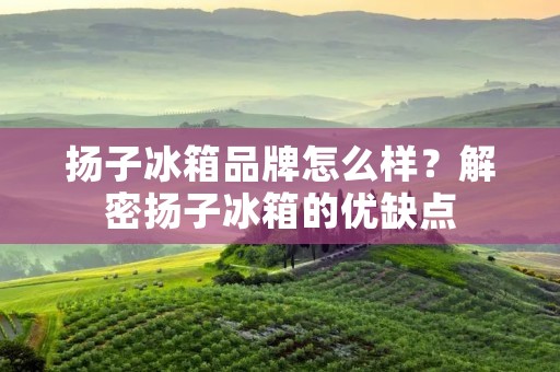 扬子冰箱品牌怎么样?解密扬子冰箱的优缺点 扬子冰箱品牌怎么样?解密扬子冰箱的优缺点