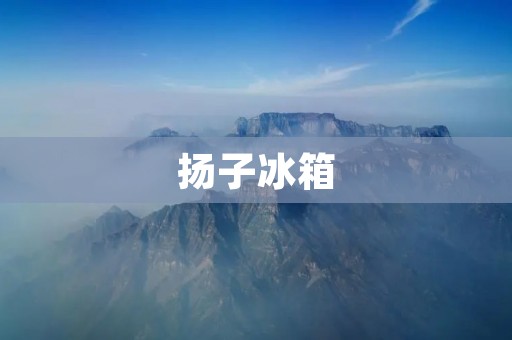 扬子冰箱：诞生于苏州，成就中国制造