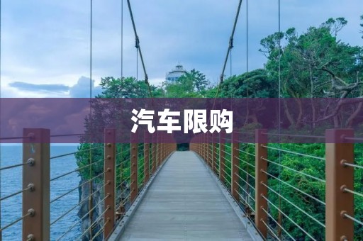 汽车限购:城市治理的必然选择 汽车限购:城市治理的必然选择