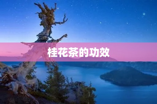 桂花茶的功效：美容养颜、舒缓神经、促进消化