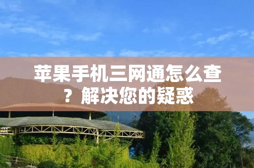 苹果手机三网通怎么查?解决您的疑惑