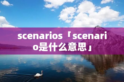 scenarios「scenario是什么意思」