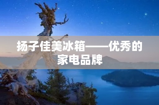 扬子佳美冰箱——优秀的家电品牌 扬子佳美冰箱——优秀的家电品牌