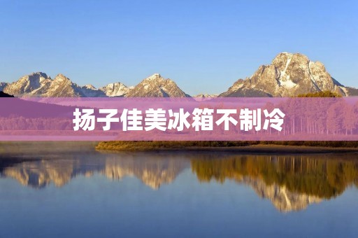 扬子佳美冰箱不制冷:原因和解决方案 扬子佳美冰箱不制冷:原因和解决方案