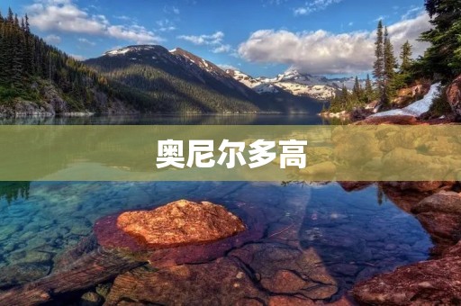 奥尼尔多高：从体能训练到技术磨炼