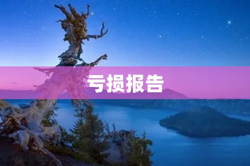 亏损报告:企业经营状况的真实写照