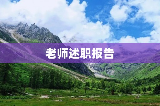 老师述职报告:我的教学实践与成果