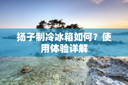 扬子制冷冰箱如何?使用体验详解 扬子制冷冰箱如何?使用体验详解