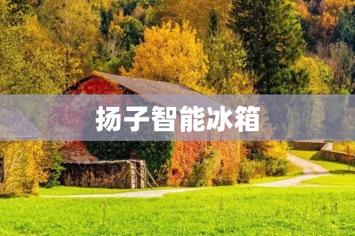 扬子智能冰箱:颠覆你对冰箱的认知 扬子智能冰箱:颠覆你对冰箱的认知