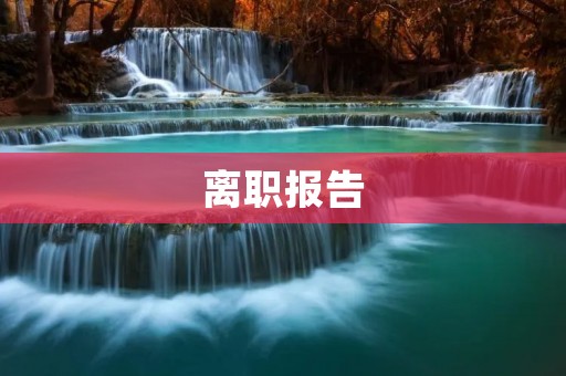 离职报告:我离开的原因和思考