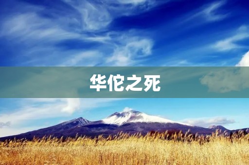 华佗之死:医术不得善终的悲剧 华佗之死:医术不得善终的悲剧