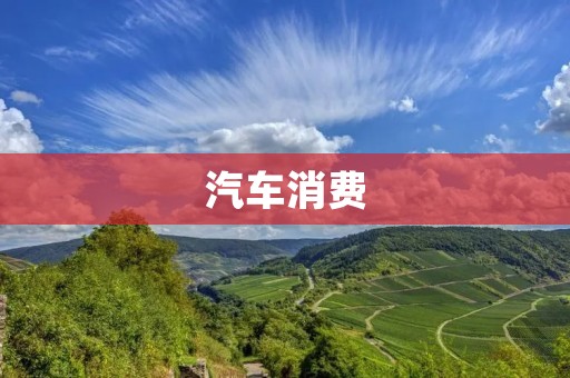 汽车消费:如何理性选择适合自己的车型? 汽车消费:如何理性选择适合自己的车型?