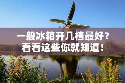 一般冰箱开几档最好?看看这些你就知道! 一般冰箱开几档最好?看看这些你就知道!