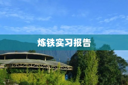 炼铁实习报告:钢铁生产过程中的环境、安全和质量控制
